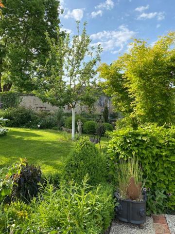 La Maison Des Buis Falaise  Exterior photo
