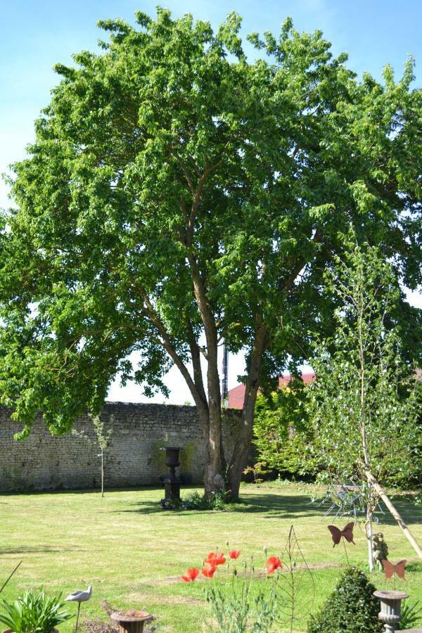 La Maison Des Buis Falaise  Exterior photo